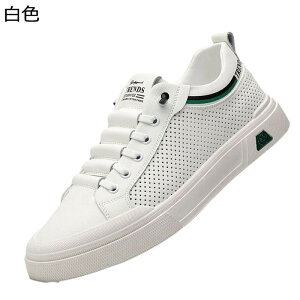 XP[g{[hV[Y XP{[V[Y Y JWAV[Y Xj[J[ Xb| bV R ʋC y ~ K fbLV[Y ₷