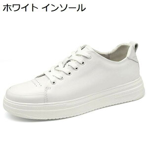 V[NbgV[Y XP[gV[Y gAbv Y V[NbgXj[J[ Xj[J[ JWA jOV[Y [Jbg [XAbv y  h XP[g