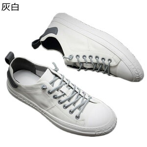 XP[gV[Y Xj[J[ Y fB[X U[ {v X|[c JWA EH[LOV[Y Vv hCrOV[Y y ₷ ~  L RtH