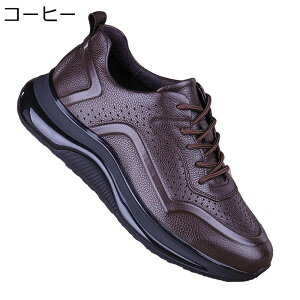 Y U[Xj[J[  {v JWA ʋ EH[LOV[Y rWlXJWA amC rWlXXj[J[ IV y ₷ ʋC  jO tH[} 