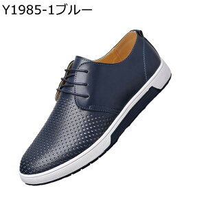 JWAV[Y Y Xj[J[ h K ʋ ₷ XP[gV[Y tbg d y JWA  rWlX jO amC tH[} St fbL