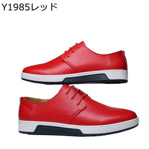 JWAV[Y Y Xj[J[ h K ʋ ₷ XP[gV[Y tbg d y JWA  rWlX jO amC tH[} St fbL