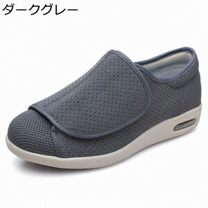 V[Y fB[X Y C Xj[J[ L y wl  ʋC  O 炩 nrV[Y EH[LO i jp VjA NbV 傫TCY