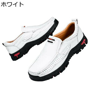 Y hCrOV[Y 24.0-30.0cm Xj[J[ [t@[ XbvI tFCNU[  h E₷ y t  H ~ y ip j ̓ AEghA Ep