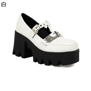 C SX [^ pvX fB[X ht@V ^bN  xbg TuJn e a݂킢 nEB SVbNpN XNGAgD gAbv 