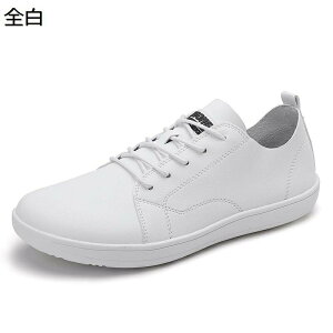 Xj[J[ Y U[ [XAbv hCrOV[Y JWA EH[LOV[Y tH[} Ȑ h L  tbg [XAbvU[V[Y St ^] rW