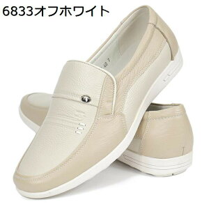 [t@[ Y Xb| {v fbLV[Y JV  amC h ʋC y JWAV[Y _炩 hCrO Ep rWlXV[Y St ʋ ̓ Mtg