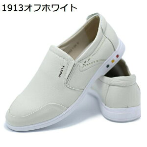 [t@[ Y Xb| {v fbLV[Y JV  amC h ʋC y JWAV[Y _炩 hCrO Ep rWlXV[Y St ʋ ̓ Mtg