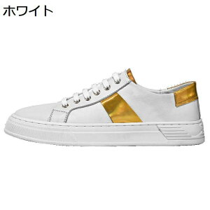 XP[gV[Y Xj[J[ {v XP[g Y U[  V[Y [Jbg Vv y ₷ ~ RtH[g ^C tbg ʋ ʊw y ʋC Jp 