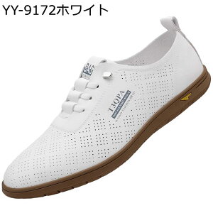 U[Xj[J[ vC Y y [XAbv hCrOV[Y ʋ rWJW JWA H rWlX tbg jO amC tH[} St ₷ 