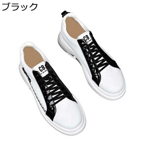 Xj[J[ JWAV[Y Y C wȂC ؍  hJ NbV ʋC [XAbv h ₷ V[NbgV[Y EH[LOV[Y