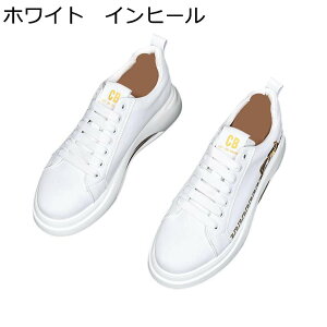 Xj[J[ JWAV[Y Y C wȂC ؍  hJ NbV ʋC [XAbv h ₷ V[NbgV[Y EH[LOV[Y