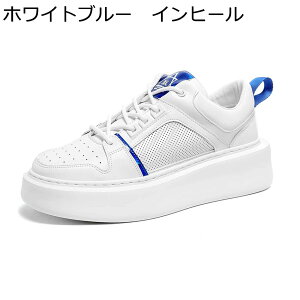 Xj[J[ JWAV[Y Y wȂC C bV ʋC ؍  XP{[V[Y V[NbgV[Y y ₷ ~ X|[c