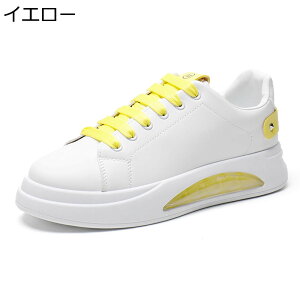 Xj[J[ JWAV[Y Y {v wȂC Jbv ؍  Xg[g tbgV[Y V[NbgV[Y [XAbv ~ ʋC X|[c AEghA