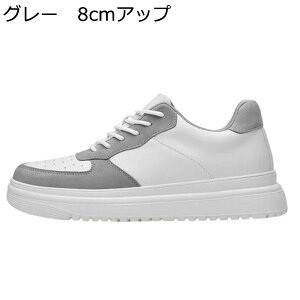 Xj[J[ JWAV[Y Y XP{[V[Y C wȂC V[NbgV[Y [XAbv ʋC h ₷ X|[c EH[LOV[Y