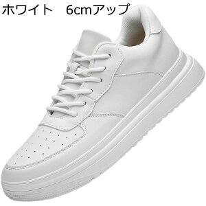 Xj[J[ JWAV[Y Y XP{[V[Y C wȂC V[NbgV[Y [XAbv ʋC h ₷ X|[c EH[LOV[Y