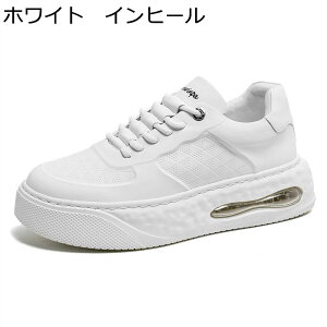 �X�j�[�J�[ �J�W���A���V���[�Y �����Y �X�P�[�g�{�[�h�V���[�Y �V�[�N���b�g�V���[�Y �C���q�[�� �N�b�V���� ���[�X�A�b�v �ʋC ����C ����~�� �X�|�[�c �A�E�g�h�A