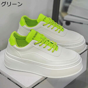 JWAV[Y Y C Xj[J[ wȂC [XAbv ؍  y XP{[V[Y h ₷ X|[c V[NbgV[Y