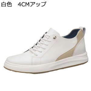 Xj[J[ Y JWAV[Y wȂC  V[NbgV[Y [XAbv XP{[V[Y ؍  ~ ʋC X|[c jp