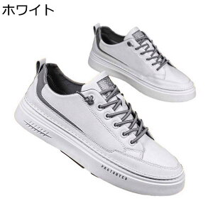 Xj[J[ JWAV[Y Y XP{[V[Y [XAbv ؍  ʋC  y jq ₷ tH h X|[c s U XP[g{[hV[Y