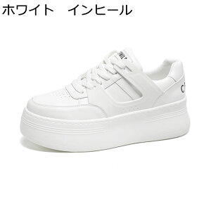 C Xj[J[ JWAV[Y Y wȂC Cq[ [XAbv ؍  XP{[V[Y h ₷ X|[c V[NbgV[Y