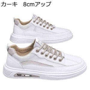 JWAV[Y Y Xj[J[ V[NbgV[Y XP[g{[hV[Y C ؍ ~ ʋC ₷ X|[c EH[LO I[V[Y