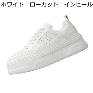 C Xj[J[ JWAV[Y Y XP{[V[Y wȂC V[NbgV[Y ʋC [XAbv h ₷ X|[c EH[LOV[Y