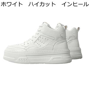 C Xj[J[ JWAV[Y Y XP{[V[Y wȂC V[NbgV[Y ʋC [XAbv h ₷ X|[c EH[LOV[Y