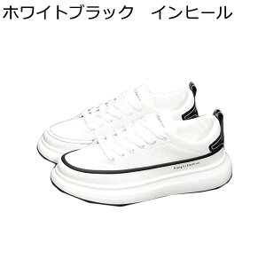 Xj[J[ Y JWAV[Y wȂC XP[g{[hV[Y C [XAbv ~ ʋC ₷ X|[c V[NbgV[Y I[V[Y