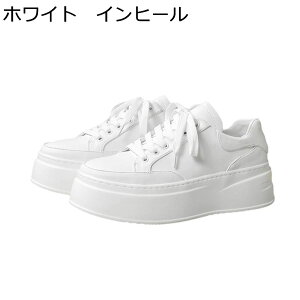 Xj[J[ Y C JWAV[Y wȂC XP[g{[hV[Y V[NbgV[Y [XAbv ~ ʋC X|[c XP{[V[Y