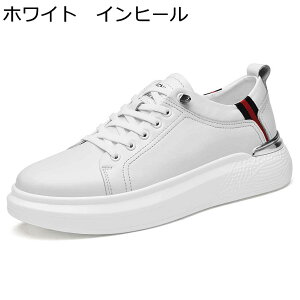 Xj[J[ JWAV[Y Y XP{[V[Y C wȂC [XAbv y ~ ʋC K ₷ X|[c EH[LOV[Y I[V[Y