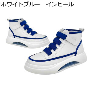 Xj[J[ Y JWAV[Y V[Nbgu[c  nCJbg }WbNe[v NbV ~ Ȃ V[NbgV[Y XP{[V[Y I[V[Y