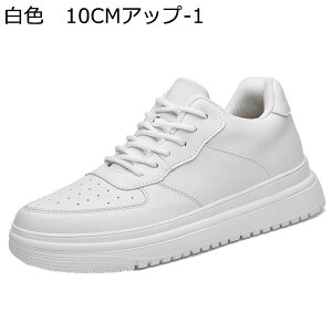 Xj[J[ Y JWAV[Y wȂC C [XAbv ʋC ؍  V[NbgV[Y y ~ X|[c ₷ EH[LOV[Y