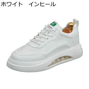 C Xj[J[ JWAV[Y Y NbV bV ʋC ؍  V[NbgV[Y y [XAbv ~ ₷ EH[LOV[Y