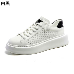 Xj[J[ JWAV[Y Y wȂC V[NbgV[Y  bV ʋC [XAbv h ʋC ₷ X|[c EH[LOV[Y