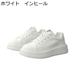 Xj[J[ JWAV[Y Y wȂC V[NbgV[Y  bV ʋC [XAbv h ʋC ₷ X|[c EH[LOV[Y