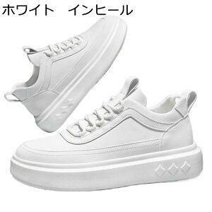 Xj[J[ JWAV[Y Y C V[NbgV[Y XP[g{[hV[Y wȂC [XAbv ʋC ~ X|[c EH[LOV[Y