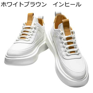 Xj[J[ JWAV[Y Y C V[NbgV[Y XP[g{[hV[Y wȂC [XAbv ʋC ~ X|[c EH[LOV[Y