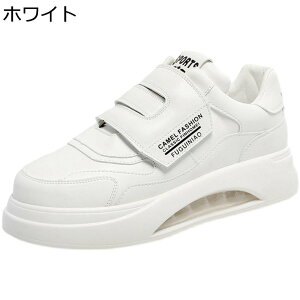 JWAV[Y Xj[J[ Y wȂC C }WbNe[v NbV ؍  Xg[g V[NbgV[Y ~ ʋC X|[c AEghA