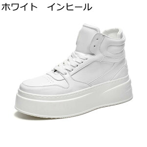 Xj[J[ JWAV[Y Y nCJbg wȂC C XP{[V[Y jp h tH ₷ Jbv RtH[g XP[g{[hV[Y