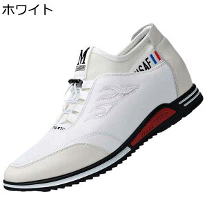 Xj[J[ JWAV[Y Y ؍  pb`[N hJ R y h ʋC K RtH[gV[Y ₷ EH[LOV[Y tH