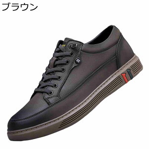 Xj[J[ Y JWAV[Y  ʋC vC [XAbv V[NbgV[Y XP{[V[Y ~ EH[LOV[Y ʋ X|[c