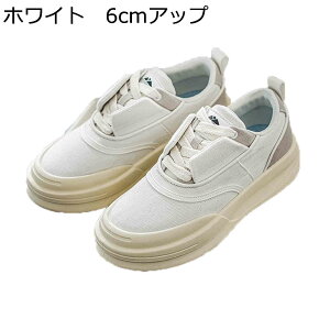 Xj[J[ Y JWAV[Y LoX V[NbgV[Y wȂC ؍  [XAbv ʋC C ~ X|[c EH[LOV[Y