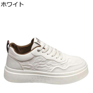 JWAV[Y Xj[J[ Y XP[g{[hV[Y wȂC C XP{[V[Y [XAbv ʋC ~ ʋC X|[c EH[LOV[Y