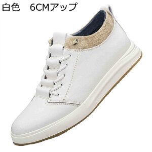 �X�j�[�J�[ �J�W���A���V���[�Y �����Y �X�P�{�[�V���[�Y �j�����p �؍� ������� �p�b�`���[�N ���� ���[�X�A�b�v �V�[�N���b�g�V���[�Y ����~�� �ʋC �X�|�[�c �E�H�[�L���O