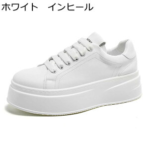 �X�j�[�J�[ �J�W���A���V���[�Y �����Y ����C �w�������Ȃ�C �X�P�[�g�{�[�h�V���[�Y �V�[�N���b�g�V���[�Y ���[�X�A�b�v ����~�� �ʋC �X�|�[�c �A�E�g�h�A