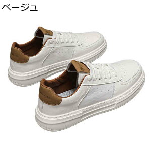 Xj[J[ JWAV[Y Y XP{[V[Y C ؍  ʋC [XAbv h ₷ X|[c EH[LOV[Y XP[g{[hV[Y