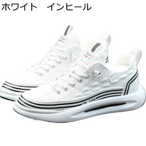 Xj[J[ Y JWAV[Y wȂC XP[g{[hV[Y C [XAbv ~ ʋC ₷ X|[c V[NbgV[Y I[V[Y