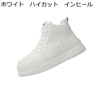 Xj[J[ JWAV[Y Y nCJbg wȂC C V[Nbgu[c XP{[V[Y V[NbgV[Y [XAbv ~ ʋC I[V[Y