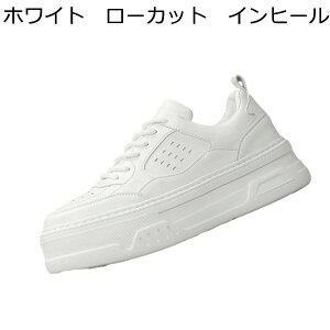 �X�j�[�J�[ �J�W���A���V���[�Y �����Y �n�C�J�b�g �w�������Ȃ�C ����C �V�[�N���b�g�u�[�c �X�P�{�[�V���[�Y �V�[�N���b�g�V���[�Y ���[�X�A�b�v ����~�� �ʋC �I�[���V�[�Y��